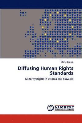 bokomslag Diffusing Human Rights Standards