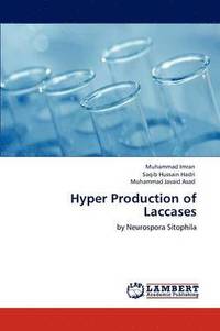 bokomslag Hyper Production of Laccases