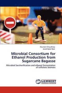 bokomslag Microbial Consortium for Ethanol Production from Sugarcane Bagasse