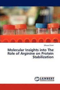 bokomslag Molecular Insights into The Role of Arginine on Protein Stabilization