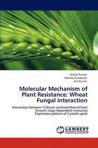bokomslag Molecular Mechanism of Plant Resistance