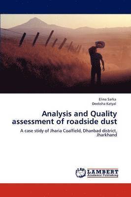 bokomslag Analysis and Quality assessment of roadside dust