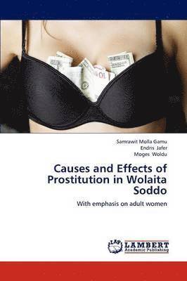 bokomslag Causes and Effects of Prostitution in Wolaita Soddo