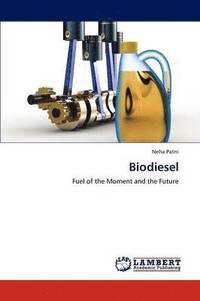 bokomslag Biodiesel