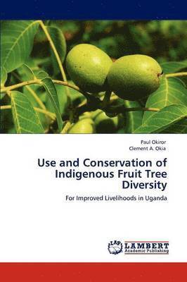 bokomslag Use and Conservation of Indigenous Fruit Tree Diversity