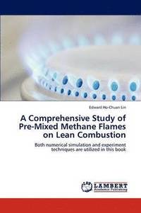 bokomslag A Comprehensive Study of Pre-Mixed Methane Flames on Lean Combustion