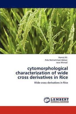 Cytomorphological Characterization of Wide Cross Derivatives in Rice 1