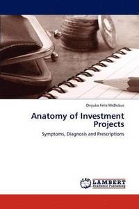 bokomslag Anatomy of Investment Projects