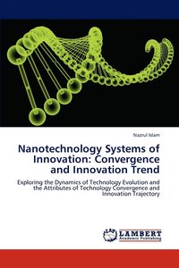 bokomslag Nanotechnology Systems of Innovation