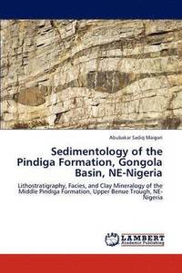 bokomslag Sedimentology of the Pindiga Formation, Gongola Basin, Ne-Nigeria