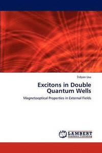 bokomslag Excitons in Double Quantum Wells