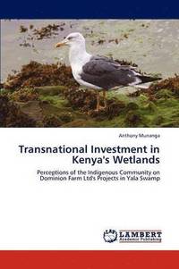 bokomslag Transnational Investment in Kenya's Wetlands