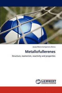 bokomslag Metallofullerenes