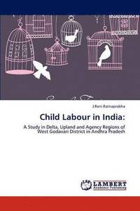 bokomslag Child Labour in India
