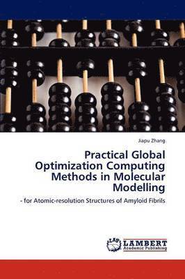 Practical Global Optimization Computing Methods in Molecular Modelling 1
