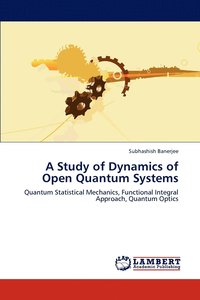 bokomslag A Study of Dynamics of Open Quantum Systems