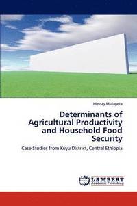 bokomslag Determinants of Agricultural Productivity and Household Food Security