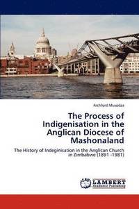 bokomslag The Process of Indigenisation in the Anglican Diocese of Mashonaland