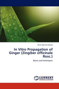 bokomslag In Vitro Propagation of Ginger (Zingiber officinale Rosc.)