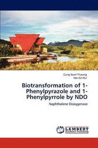 bokomslag Biotransformation of 1-Phenylpyrazole and 1-Phenylpyrrole by NDO