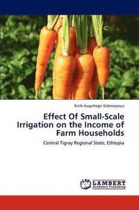 bokomslag Effect of Small-Scale Irrigation on the Income of Farm Households