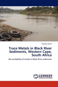 bokomslag Trace Metals in Black River Sediments, Western Cape, South Africa