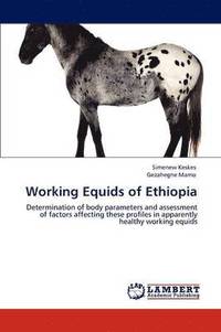 bokomslag Working Equids of Ethiopia