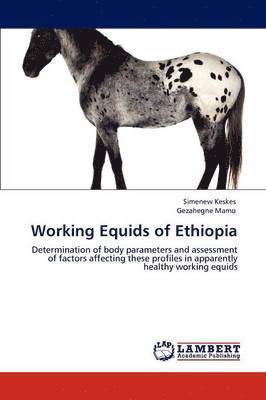 Working Equids of Ethiopia 1