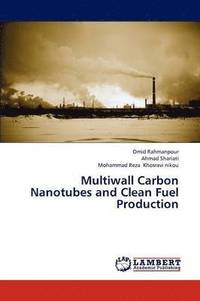 bokomslag Multiwall Carbon Nanotubes and Clean Fuel Production