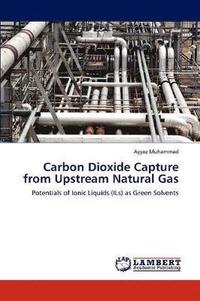 bokomslag Carbon Dioxide Capture from Upstream Natural Gas