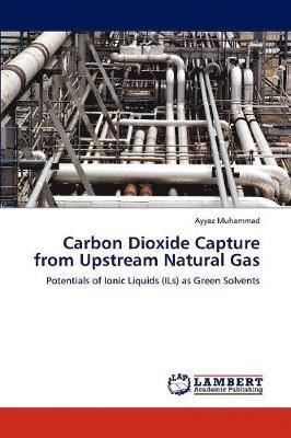 Carbon Dioxide Capture from Upstream Natural Gas 1