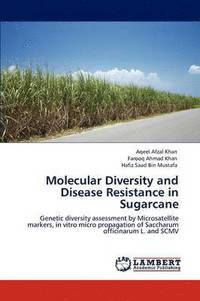 bokomslag Molecular Diversity and Disease Resistance in Sugarcane