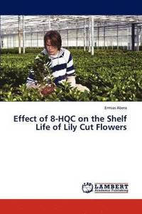 bokomslag Effect of 8-Hqc on the Shelf Life of Lily Cut Flowers