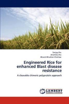 bokomslag Engineered Rice for enhanced Blast disease resistance