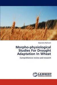 bokomslag Morpho-physiological Studies For Drought Adaptation In Wheat