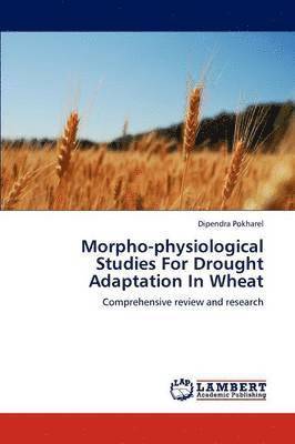 Morpho-physiological Studies For Drought Adaptation In Wheat 1