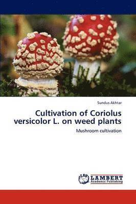 Cultivation of Coriolus versicolor L. on weed plants 1