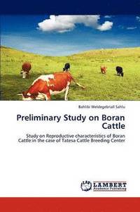 bokomslag Preliminary Study on Boran Cattle