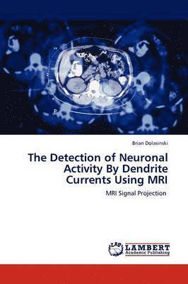 bokomslag The Detection of Neuronal Activity by Dendrite Currents Using MRI