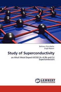 bokomslag Study of Superconductivity