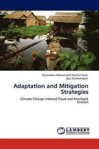 bokomslag Adaptation and Mitigation Strategies
