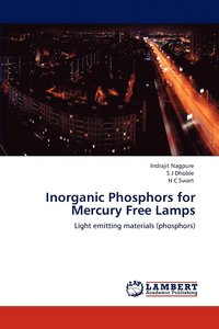 bokomslag Inorganic Phosphors for Mercury Free Lamps