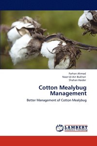 bokomslag Cotton Mealybug Management