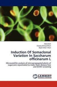 bokomslag Induction of Somaclonal Variation in Saccharum Officinarum L
