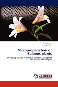 bokomslag Micropropagation of Bulbous plants