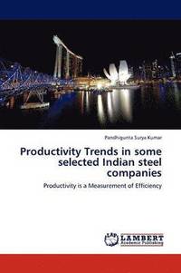 bokomslag Productivity Trends in some selected Indian steel companies