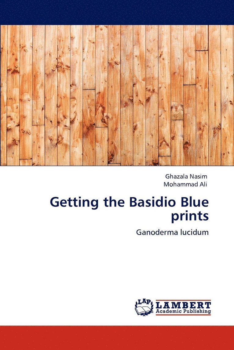 Getting the Basidio Blue prints 1