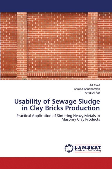 bokomslag Usability of Sewage Sludge in Clay Bricks Production