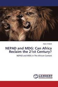 bokomslag NEPAD and MDG
