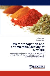 bokomslag Micropropagation and Antimicrobial Activity of Turmeric